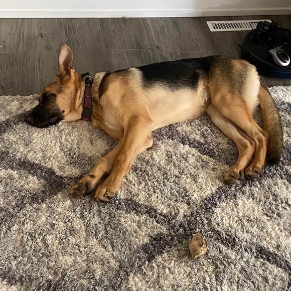 Meet your Posher, Andrew - Picture 1 of 1